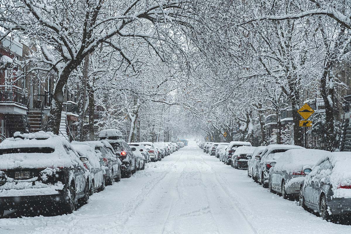 Cars parked on a snowy road