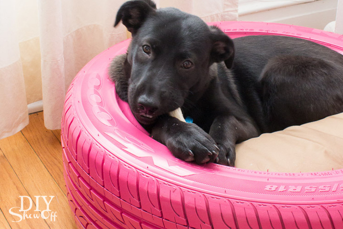 Tire Dog Bed